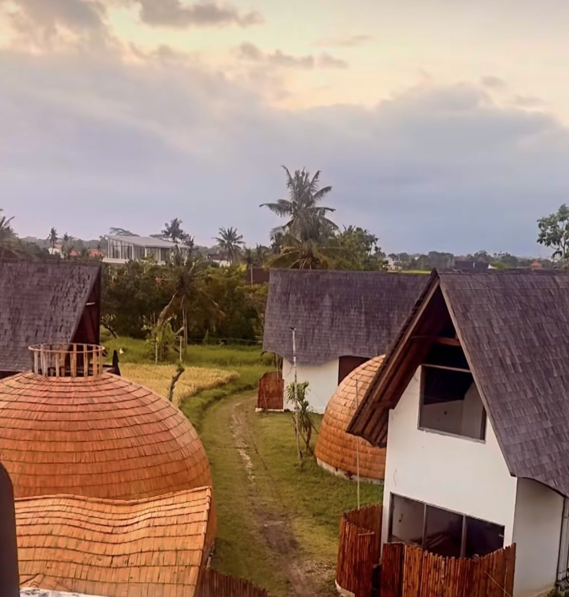 The bamboo domes of Temecula rising among the Cemagi rice fields at dusk